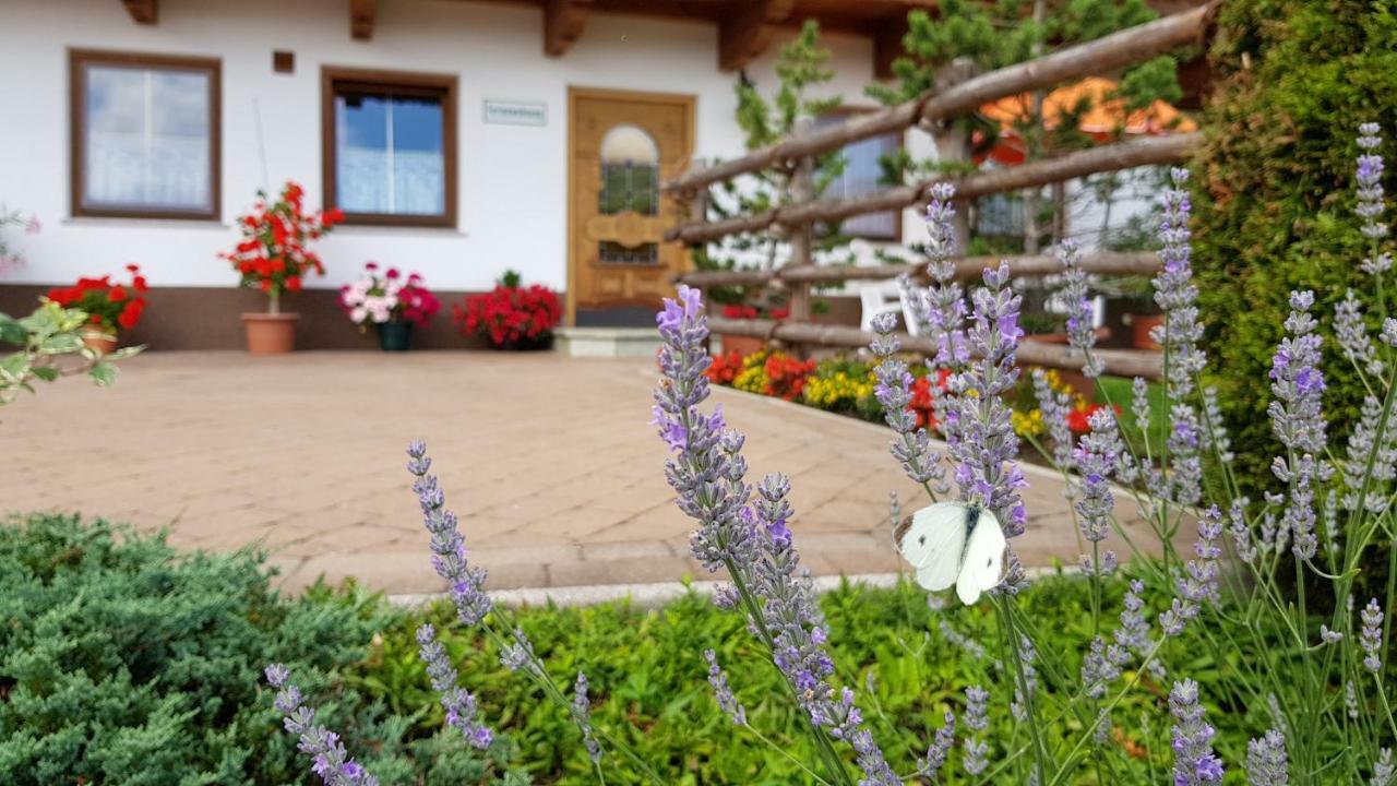 Haus Jeannette Daire Zellberg Dış mekan fotoğraf